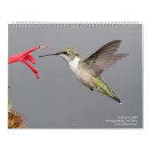 12 Vogels voor 2018 ~ Tom Spine Fotografie Kalender (Hoes)