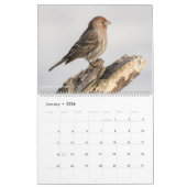 12 Vogels voor 2018 ~ Tom Spine Fotografie Kalender (Jan 2026)