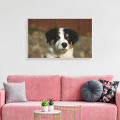 12 weken oud randkraampje van Collie Canvas Afdruk (Insitu (Woonkamer))