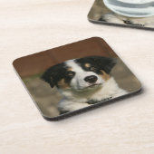 12 weken oud randkraampje van Collie Drankjes Onderzetter (Linkerzijde)