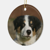 12 weken oud randkraampje van Collie Keramisch Ornament (Links)