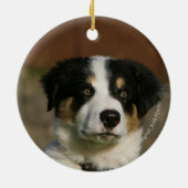 12 weken oud randkraampje van Collie Keramisch Ornament (Achterkant)