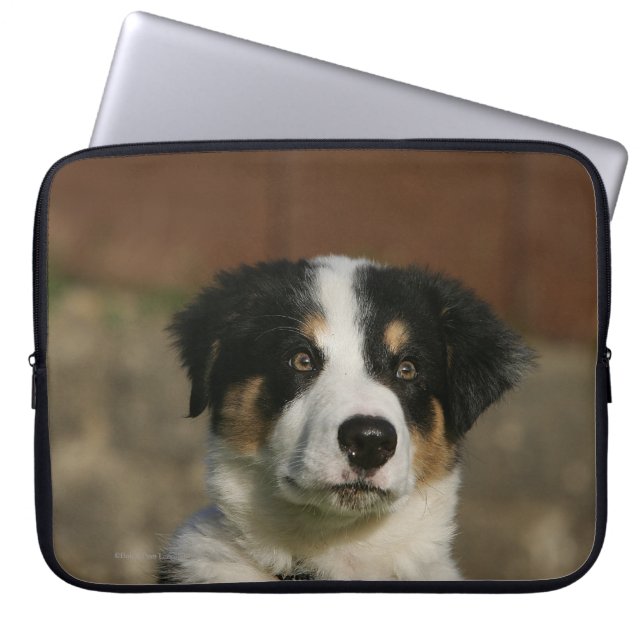 12 weken oud randkraampje van Collie Laptop Sleeve (Voorkant)