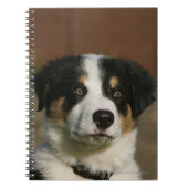 12 weken oud randkraampje van Collie Notitieboek (Voorkant)