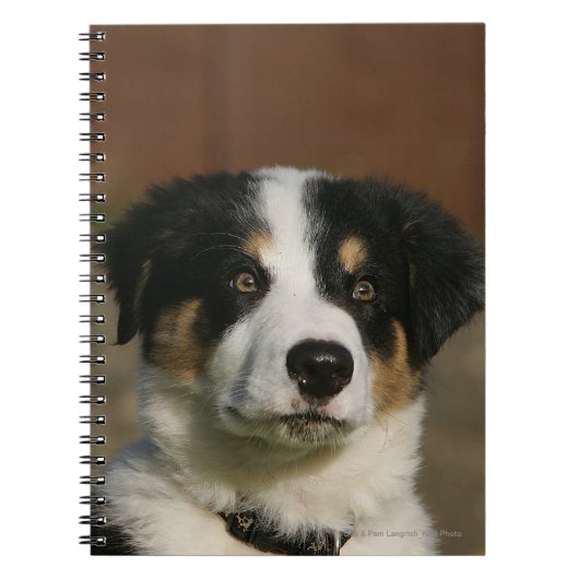 12 weken oud randkraampje van Collie Notitieboek (Voorkant)