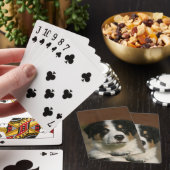 12 weken oud randkraampje van Collie Pokerkaarten (Insitu)