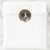 12 weken oud randkraampje van Collie Ronde Sticker (Tas)