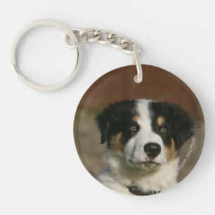 12 weken oud randkraampje van Collie Sleutelhanger