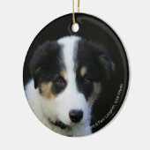 12 weken oude grenskraam keramisch ornament (Links)