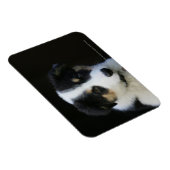 12 weken oude grenskraam magneet (Rechterzijde)