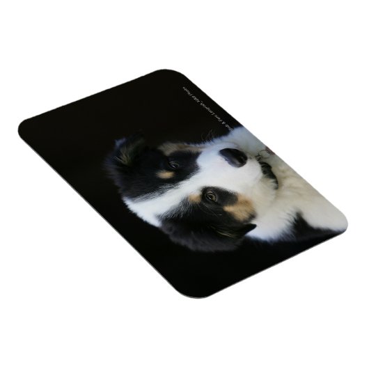 12 weken oude grenskraam magneet (Rechterzijde)