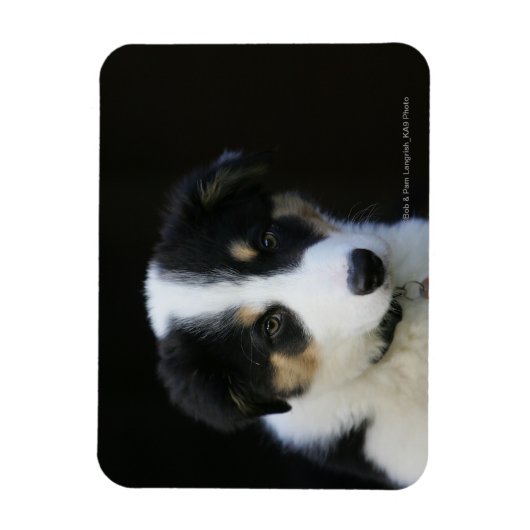 12 weken oude grenskraam magneet (Verticaal)