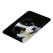 12 weken oude grenskraam magneet (Linkerzijde)