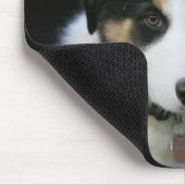 12 weken oude grenskraam muismat (Hoek)