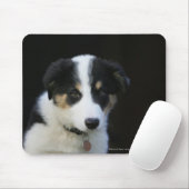 12 weken oude grenskraam muismat (Met muis)