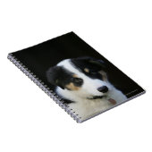 12 weken oude grenskraam notitieboek (Rechterzijde)