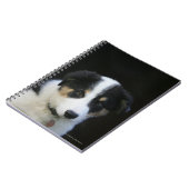 12 weken oude grenskraam notitieboek (Linkerzijde)