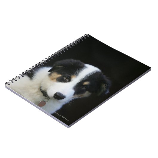 12 weken oude grenskraam notitieboek (Linkerzijde)