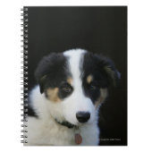 12 weken oude grenskraam notitieboek (Voorkant)