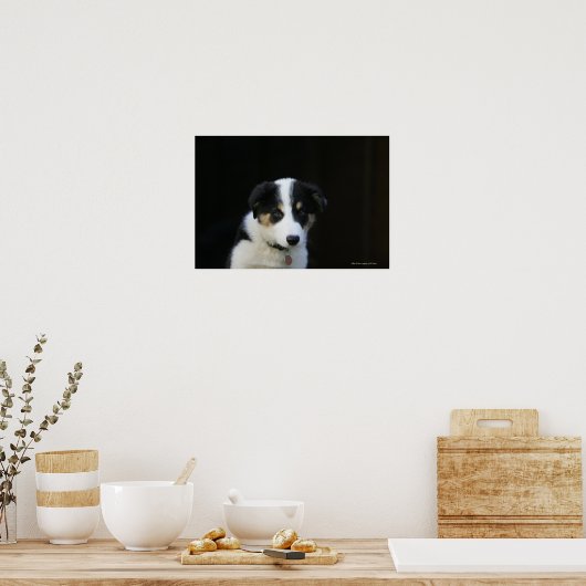 12 weken oude grenskraam poster (Keuken)