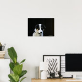 12 weken oude grenskraam poster (Thuiskantoor)