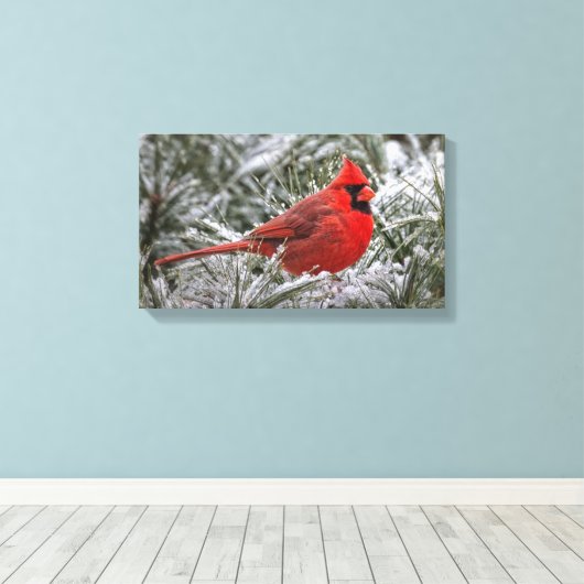 12 x12 Canvas De rode kardinaal (Insitu (Houten vloer))
