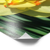 12 "x12" gele narcis foto afdruk (Hoek)