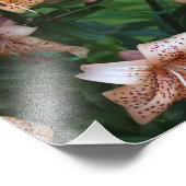 12"x12" Lelies Foto Afdruk (Hoek)