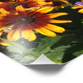 12"x12" Rudbeckia Foto Afdruk (Hoek)