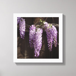 12"x 12"Paarse Wisteria op Houten Omheining Canvas Afdruk