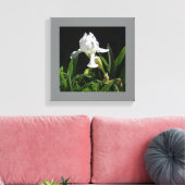 12" x 12" witte iris op zwarte achtergrond foto canvas afdruk (Insitu (Woonkamer))