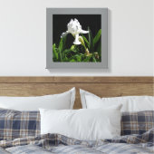 12" x 12" witte iris op zwarte achtergrond foto canvas afdruk (Insitu (Slaapkamer))