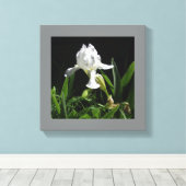 12" x 12" witte iris op zwarte achtergrond foto canvas afdruk (Insitu (Houten vloer))