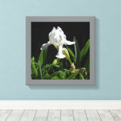 12" x 12" witte iris op zwarte achtergrond foto canvas afdruk (Insitu (Houten vloer))