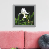 12" x 12" witte iris op zwarte achtergrond foto canvas afdruk (Insitu (Woonkamer))