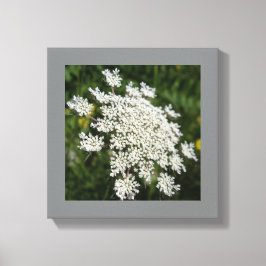 12 "x 12" Witte Koningin Ann's Kant Foto Canvas Afdruk