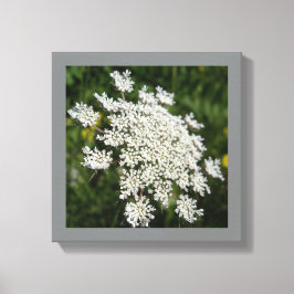 12 "x 12" Witte Koningin Ann's Kant Foto Canvas Afdruk