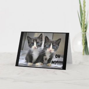 **12e BIRTHDAY** KITTENS ZEGGEN WOW!!! Kaart