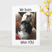 12e" BIRTHDAY WIST VAN BEIDE DOGS-kaart VAN DE VS Kaart (Gele Bloem)