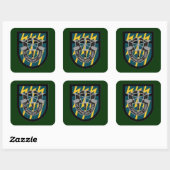12E SPECIAL FORCES GROUP FLASH/DUI-STICKERS VIERKANTE STICKER (Vel)