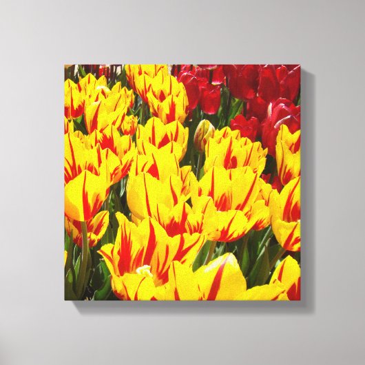12x12 Canvas Bloemstuk Kunst Afdrukken Geel Rode T (Voorkant)