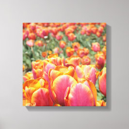 12x12 canvas kunstprint Tulp Bloemen vierkant canv Afdruk