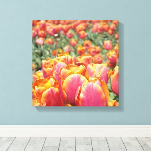 12x12 canvaskunstdrukken Tulp Flowers vierkant can Canvas Afdruk (Insitu (Houten vloer))