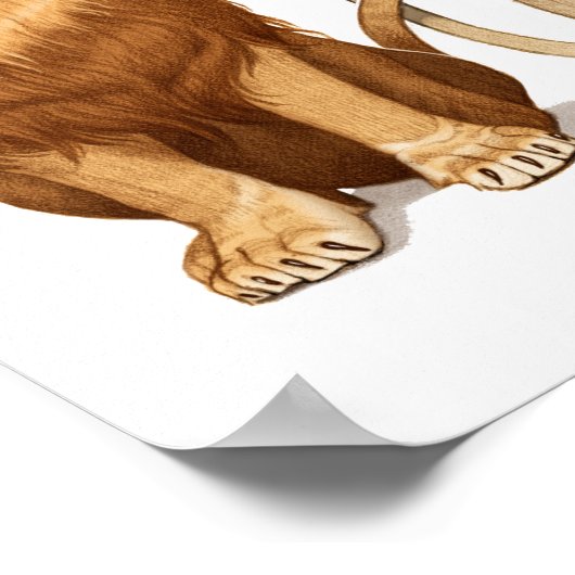 12x12 Lions in Love Print (Hoek)