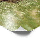 12x12 Satin foto van grizzly beer cubs Foto Afdruk (Hoek)