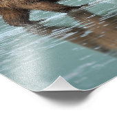 12x12 Satin foto van grizzly beer Foto Afdruk (Hoek)