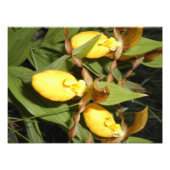 12x16 Foto afdrukken (Voorkant)