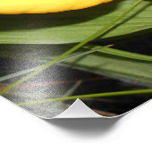 12x16 Foto afdrukken (Hoek)