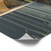 12x16 Poster grizzly beer (Hoek)