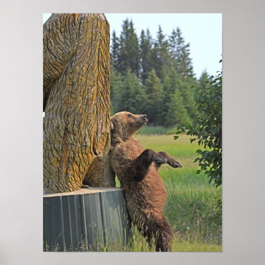 12x16 Poster grizzly beer (Voorkant)